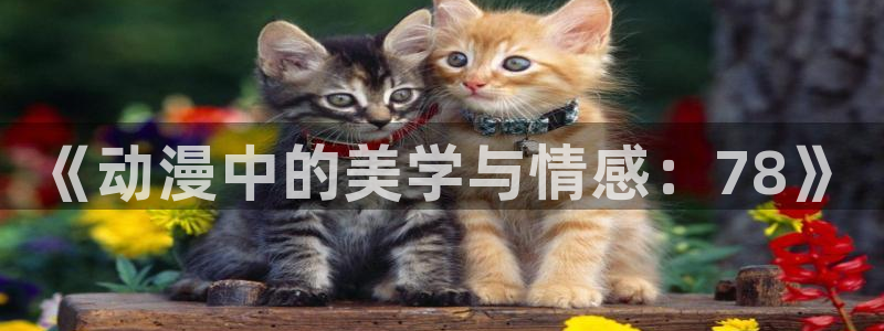 风车动漫旧版本